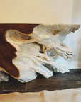 Sculptural Teak Root Console