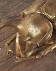 Gold Beetle Scarab