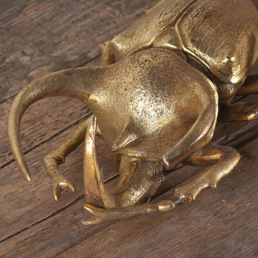 Gold Beetle Scarab