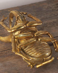 Gold Beetle Scarab