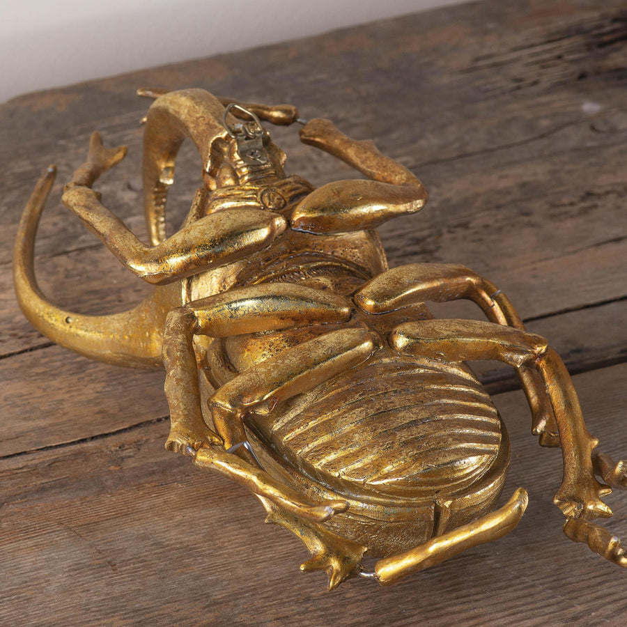 Gold Beetle Scarab