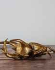 Gold Beetle Scarab