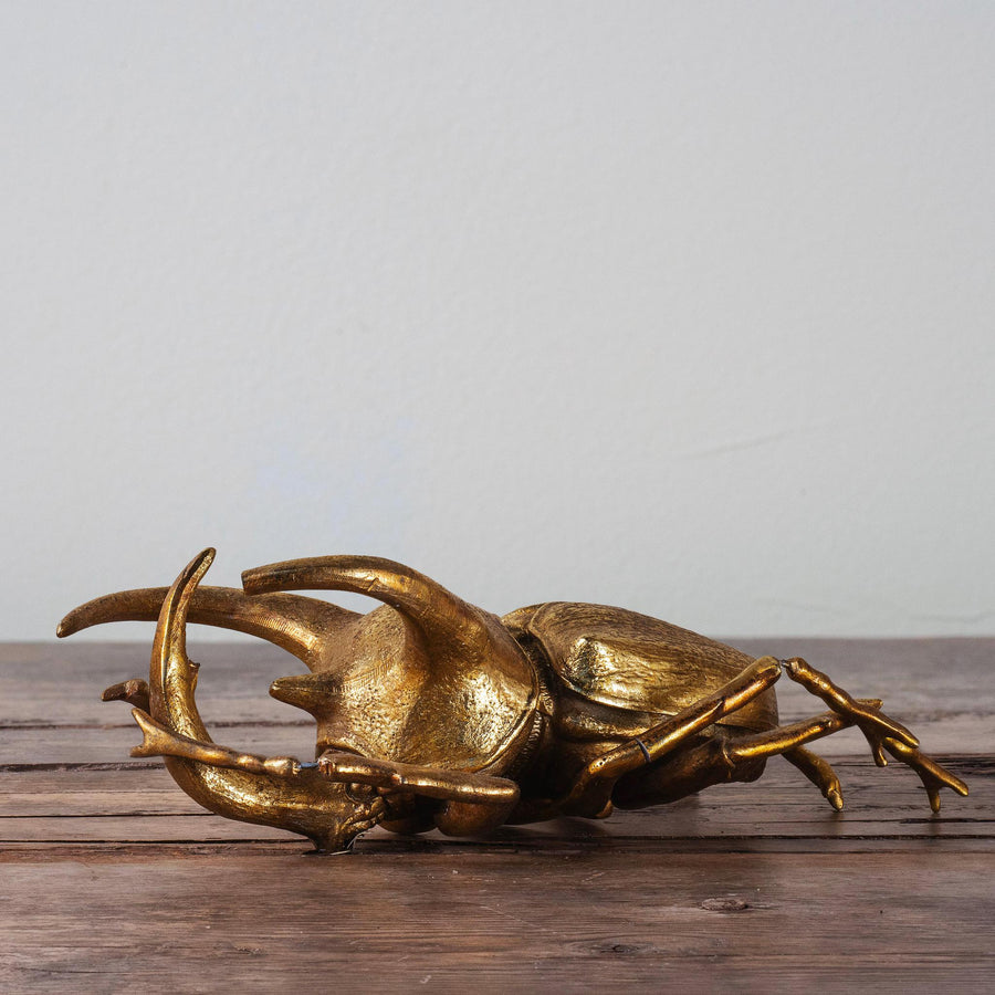 Gold Beetle Scarab