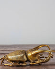 Gold Beetle Scarab