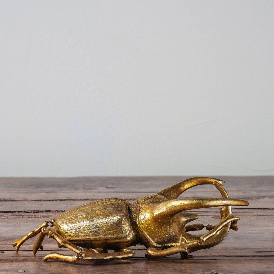 Gold Beetle Scarab