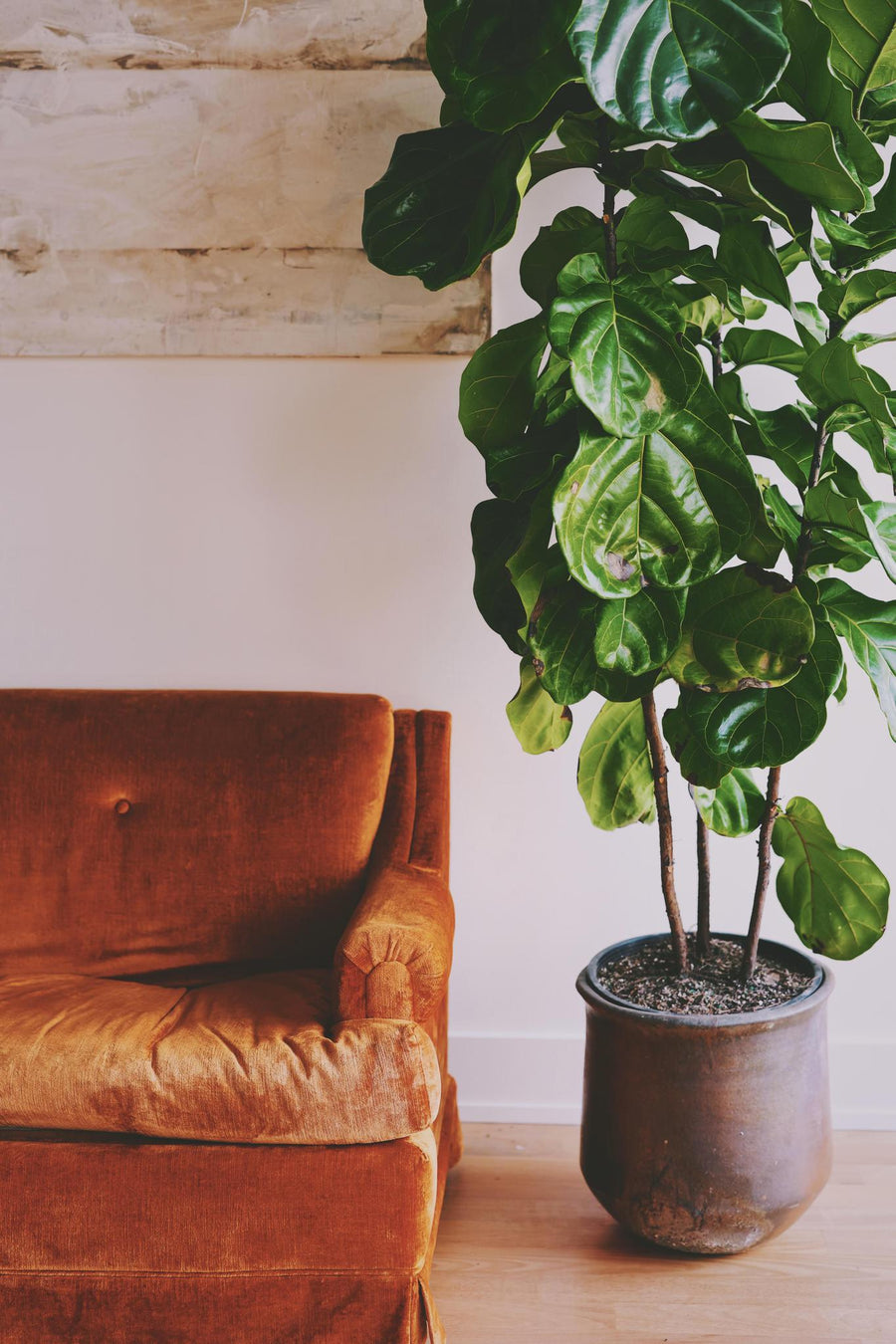 Pumpkin Chenille Sofa